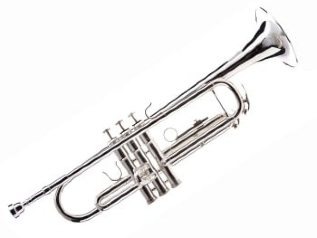 Hawk WD T313