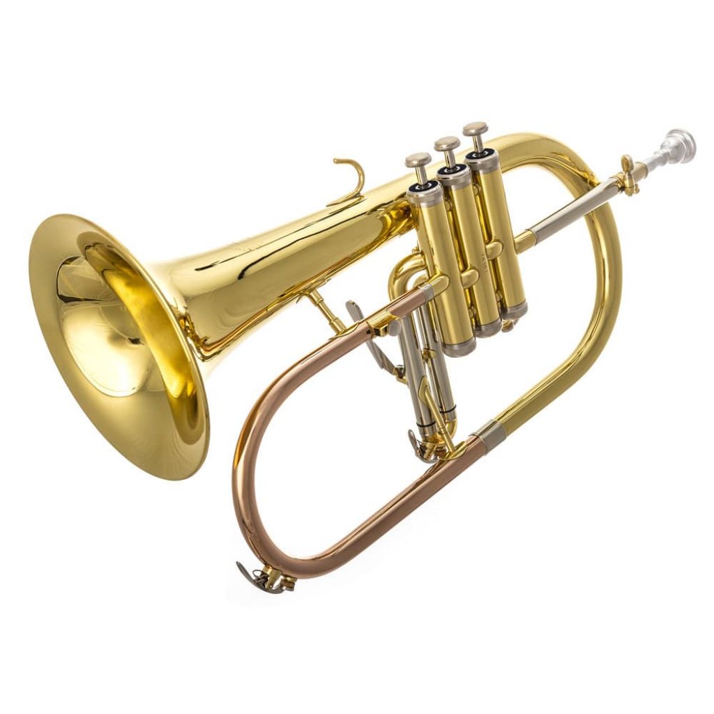 5 Best Flugelhorns Reviewed in Detail (Aug. 2019)