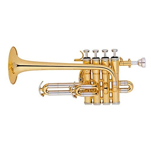 5 Best Piccolo Trumpets Reviewed in Detail [Aug. 2022]