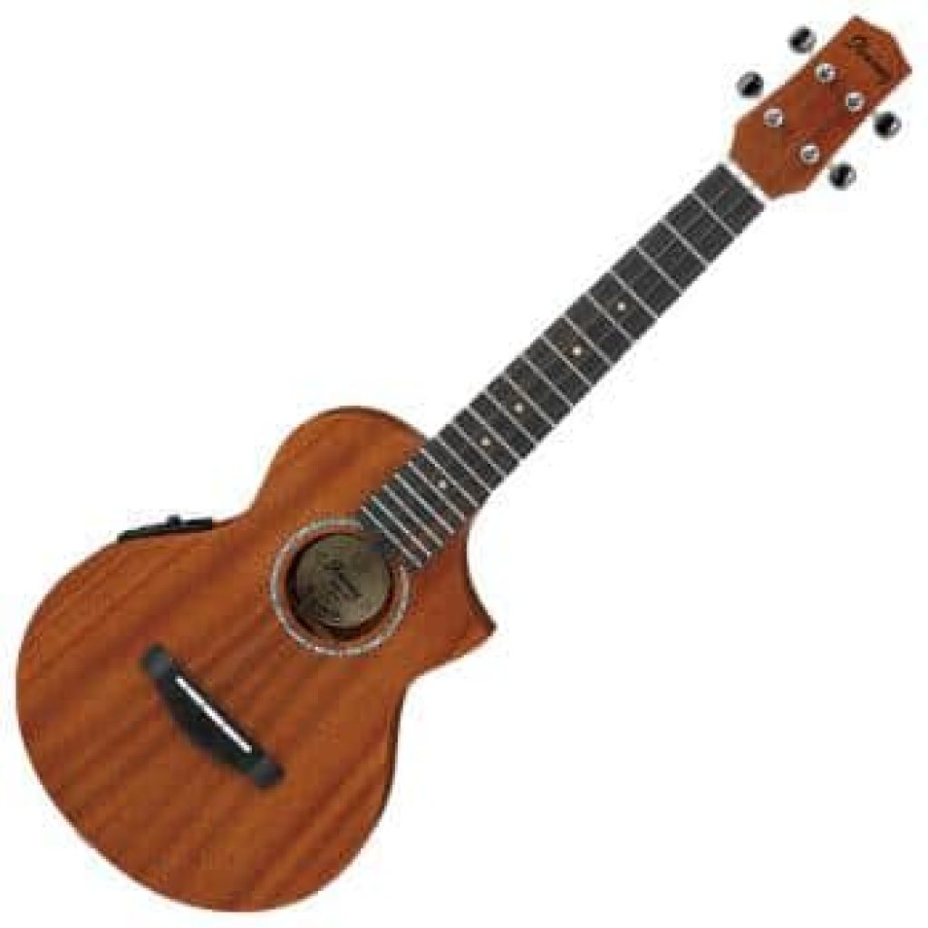 Ibanez UEWT5E