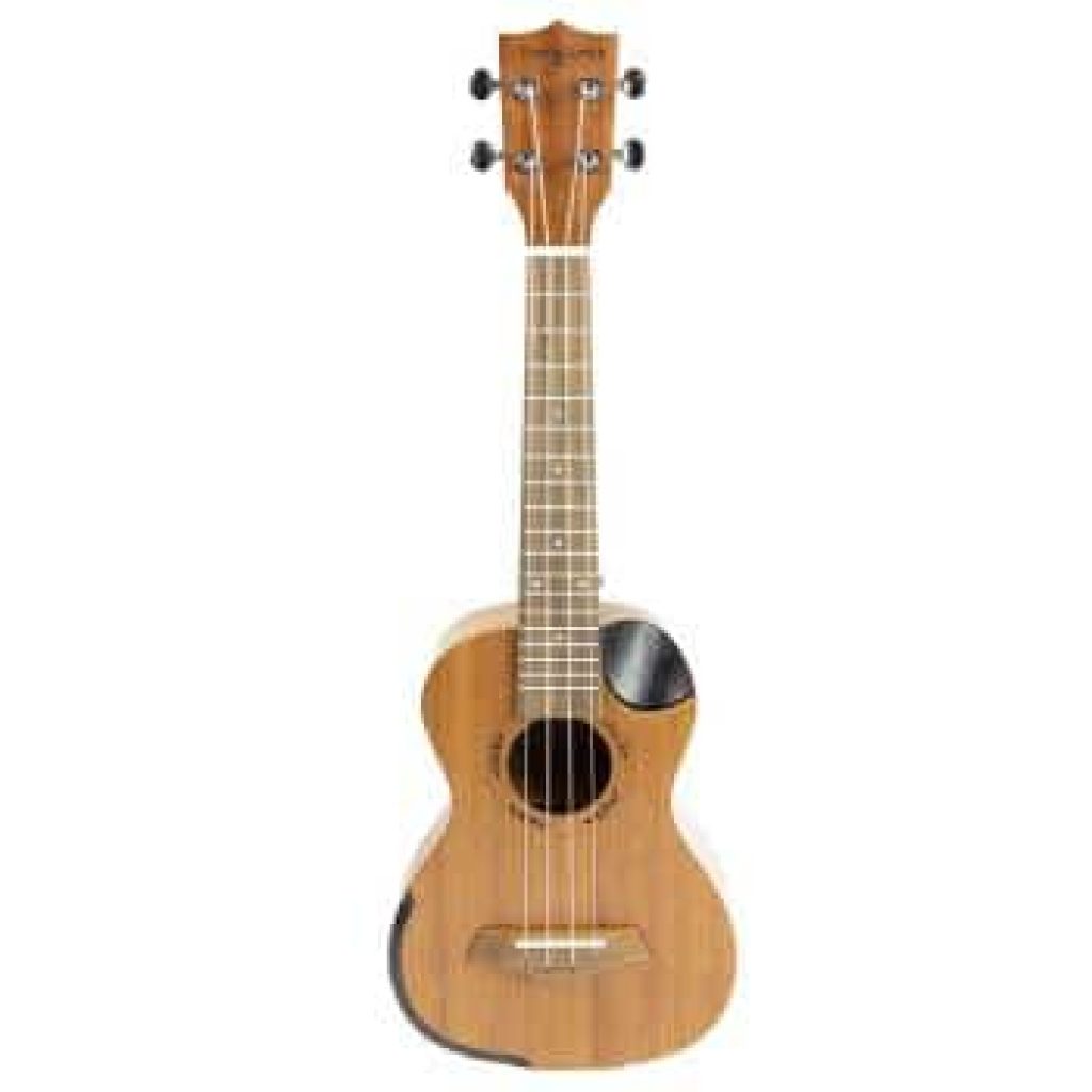 Martin Smith Tenor Ukulele Starter Kit