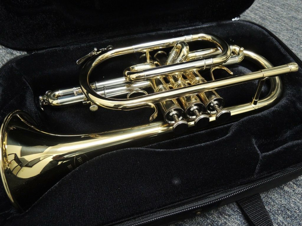 5 Wonderful Cornets for Musicians of All Levels