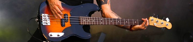 5 Greatest Short Scale Bass Guitars for Beginners and Pros