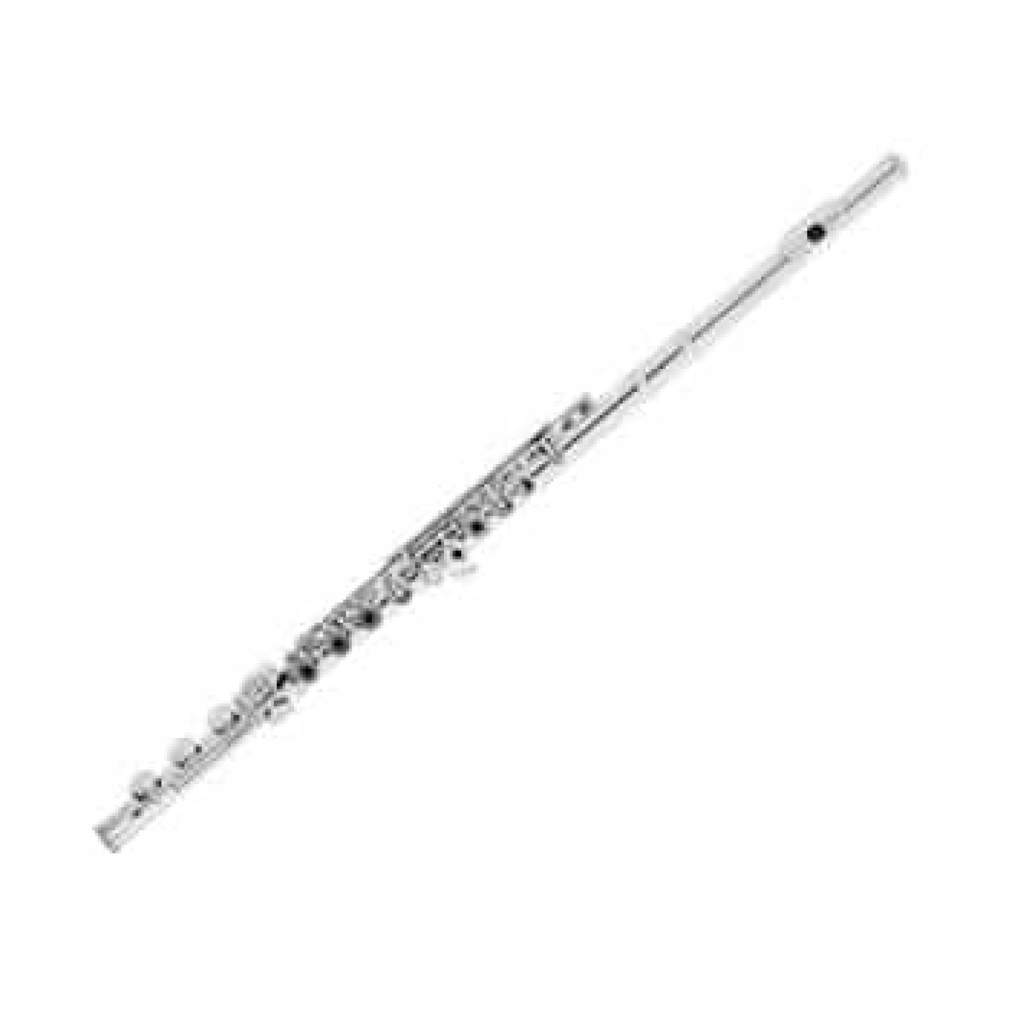 5 Best Professional Flutes Reviewed in Detail [Jun. 2020]
