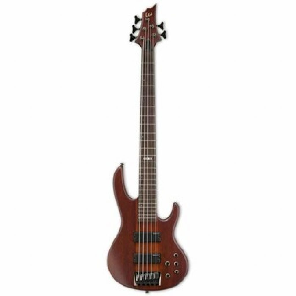 ESP LTD D 5