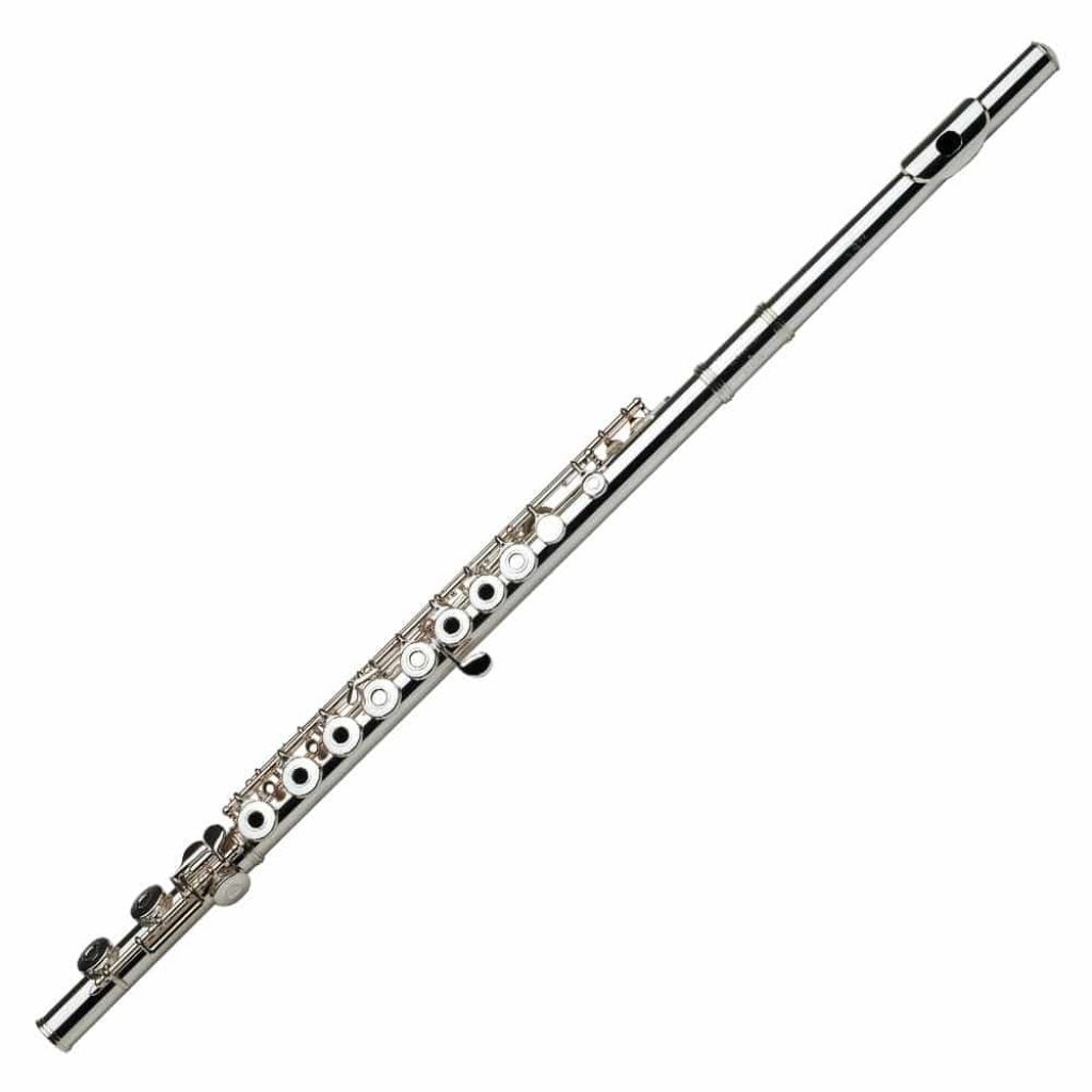 4 Best Beginner Flutes Reviewed in Detail (Aug. 2019)