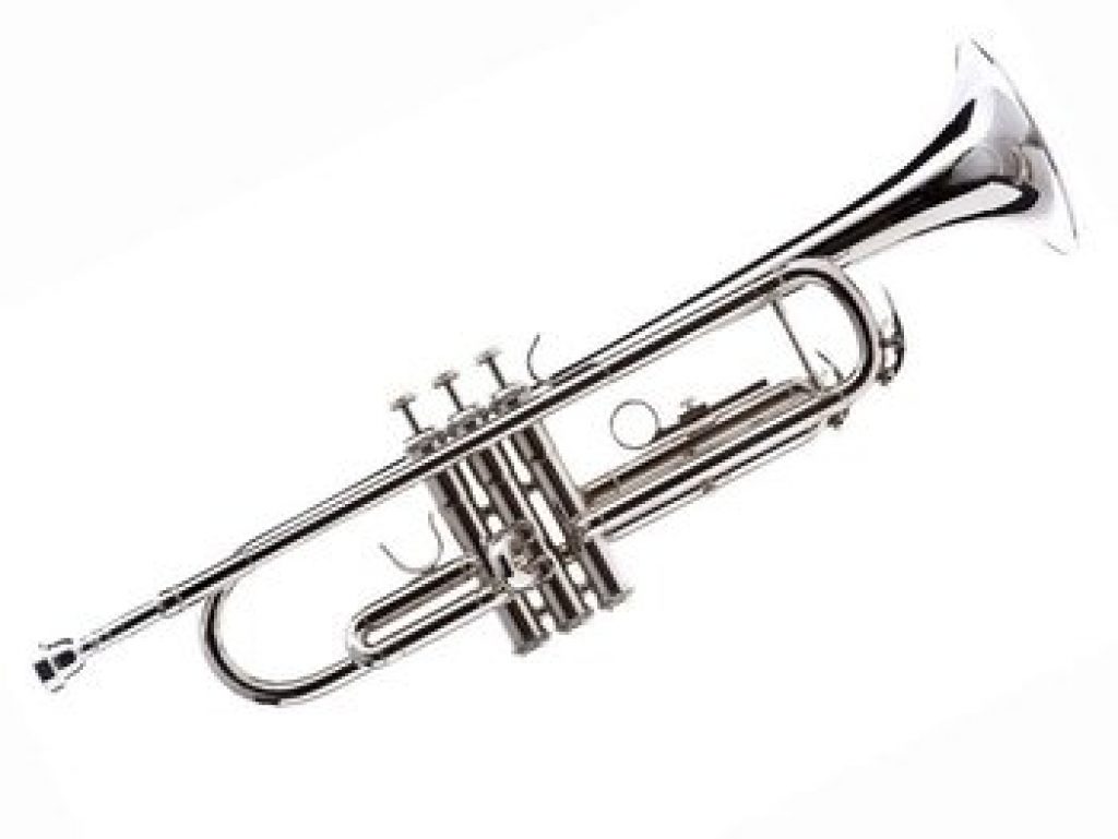 Hawk WD T312