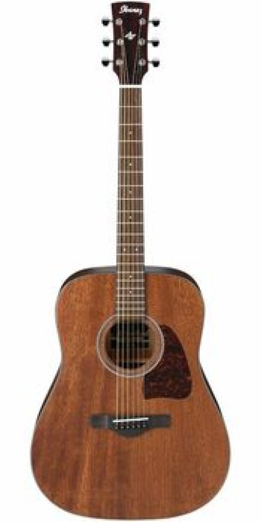 Ibanez AW54OPN