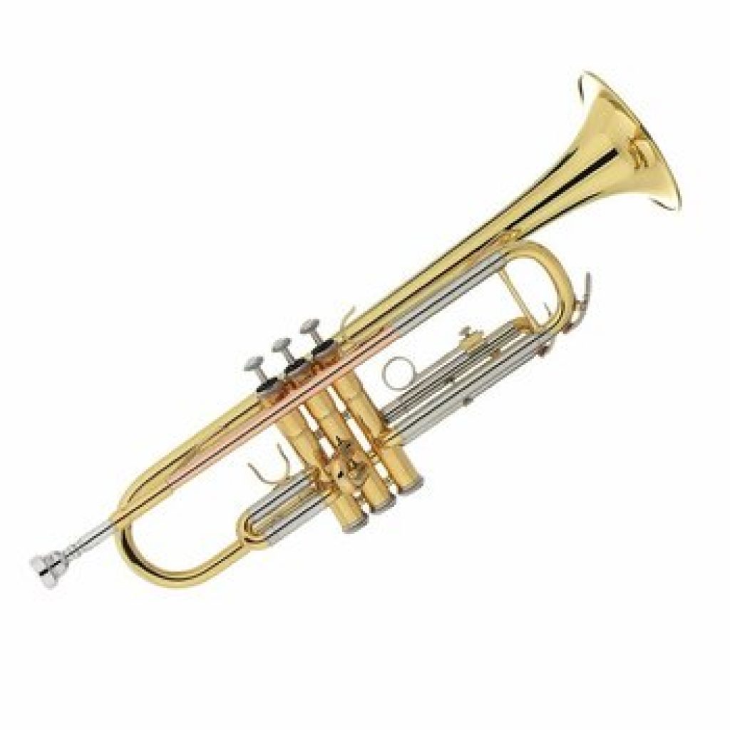 Kaizer TRP 1000LQ