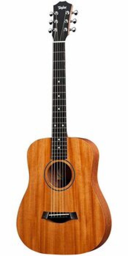 Taylor BT2