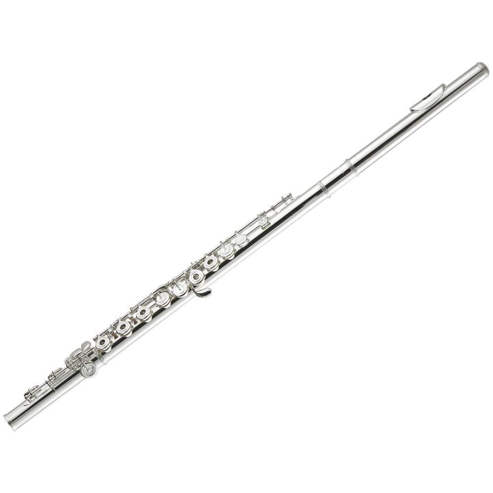 4 Best Beginner Flutes Reviewed in Detail [Dec. 2023]
