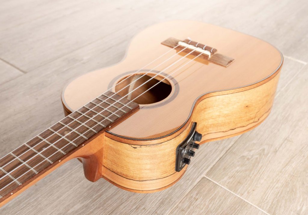 8 Superior Electric Ukuleles for Even the Largest Audience to Be Impressed