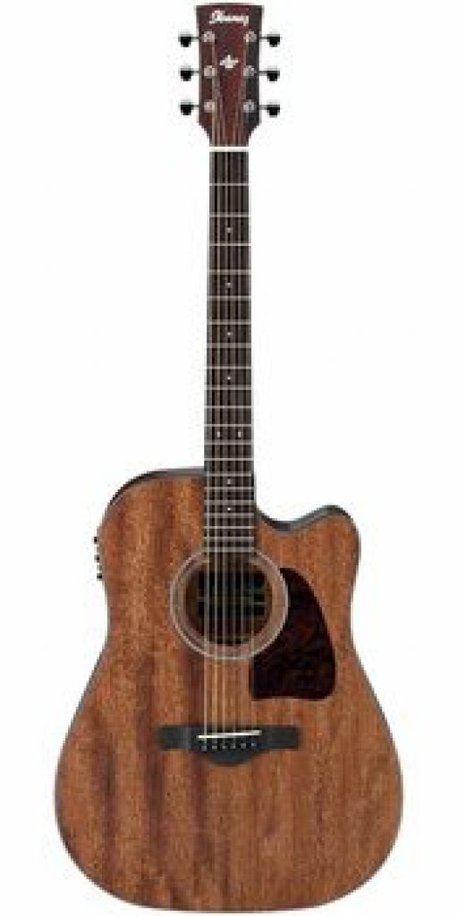 Ibanez AW54CEOPN