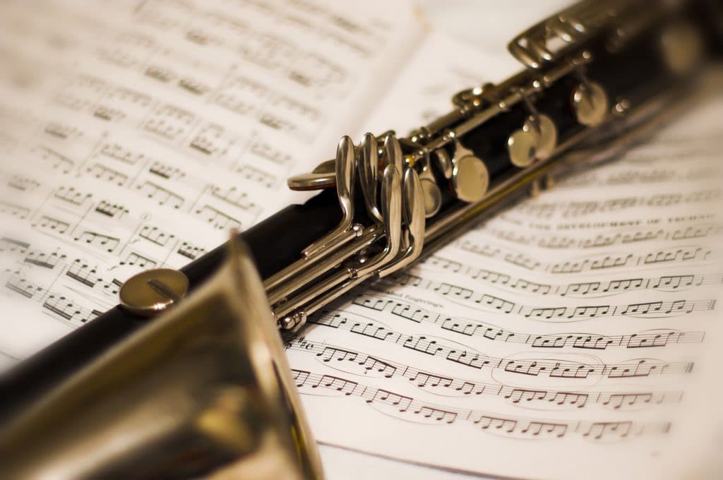 7 Best Bass Clarinets — Get Used to the Best Sound from the Beginning!