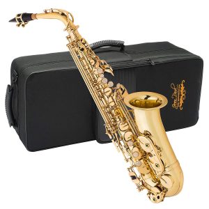 5 Best Alto Saxophones Reviewed in Detail [Apr. 2022]