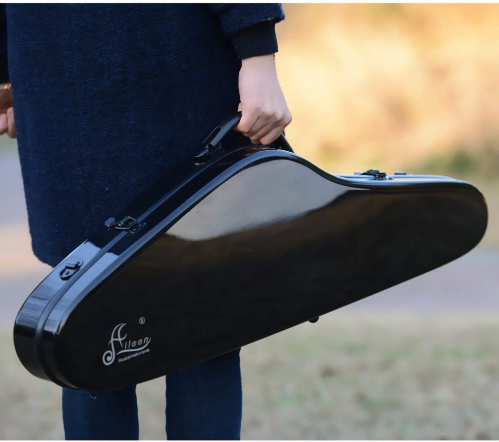 6 Best Violin Cases – Reviews and Buying Guide