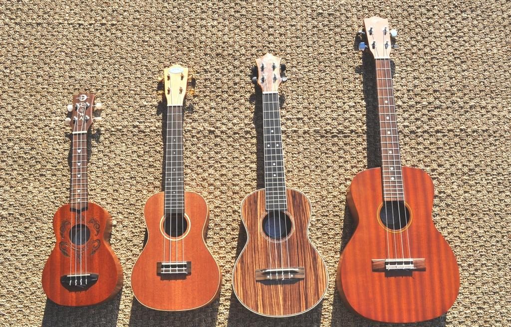 8 Best Ukuleles Under $200 - Great Sound for an Affordable Price