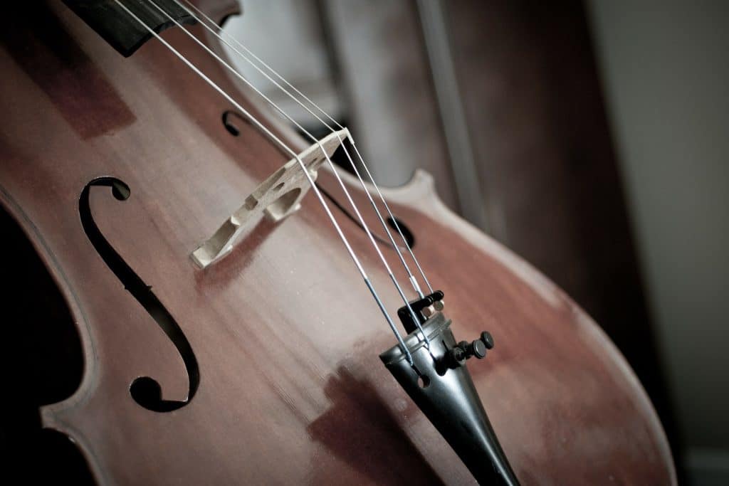 8 Fantastic Cellos for Beginners - First Steps to Becoming a Virtuoso!