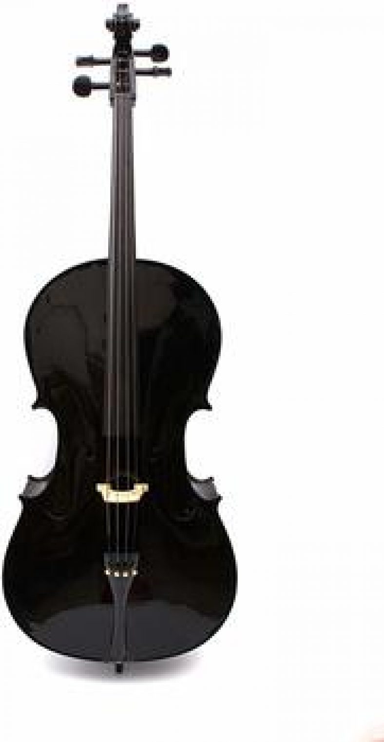 10 Best Electric Cellos Reviewed in Detail [Oct. 2020]