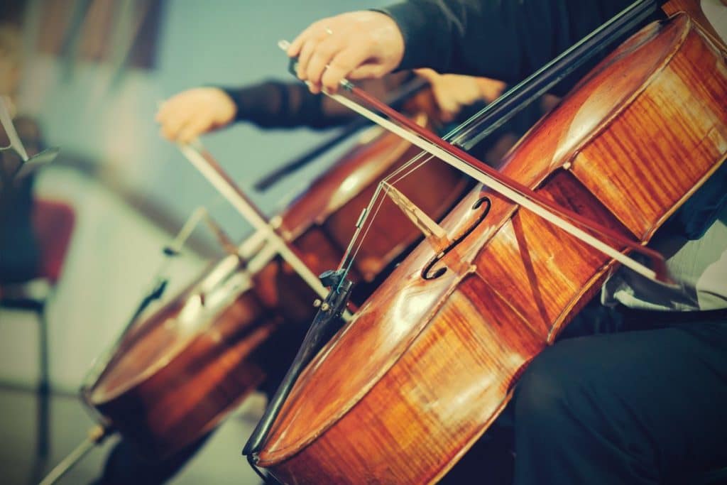 9 Best Cellos - Top Choices The Manufacturers Offer