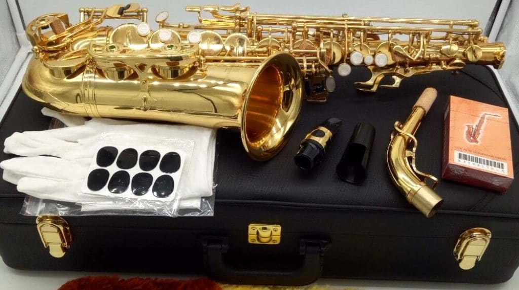5 Magnificent Professional Alto Saxophones for the Perfect Music Delivery