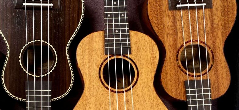 6 Best Bass Ukuleles – Just Rock It!
