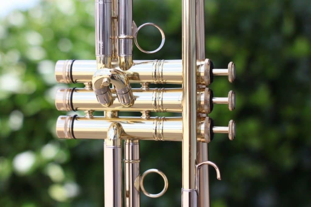5 Gorgeous Professional Trumpets for Experienced Musicians