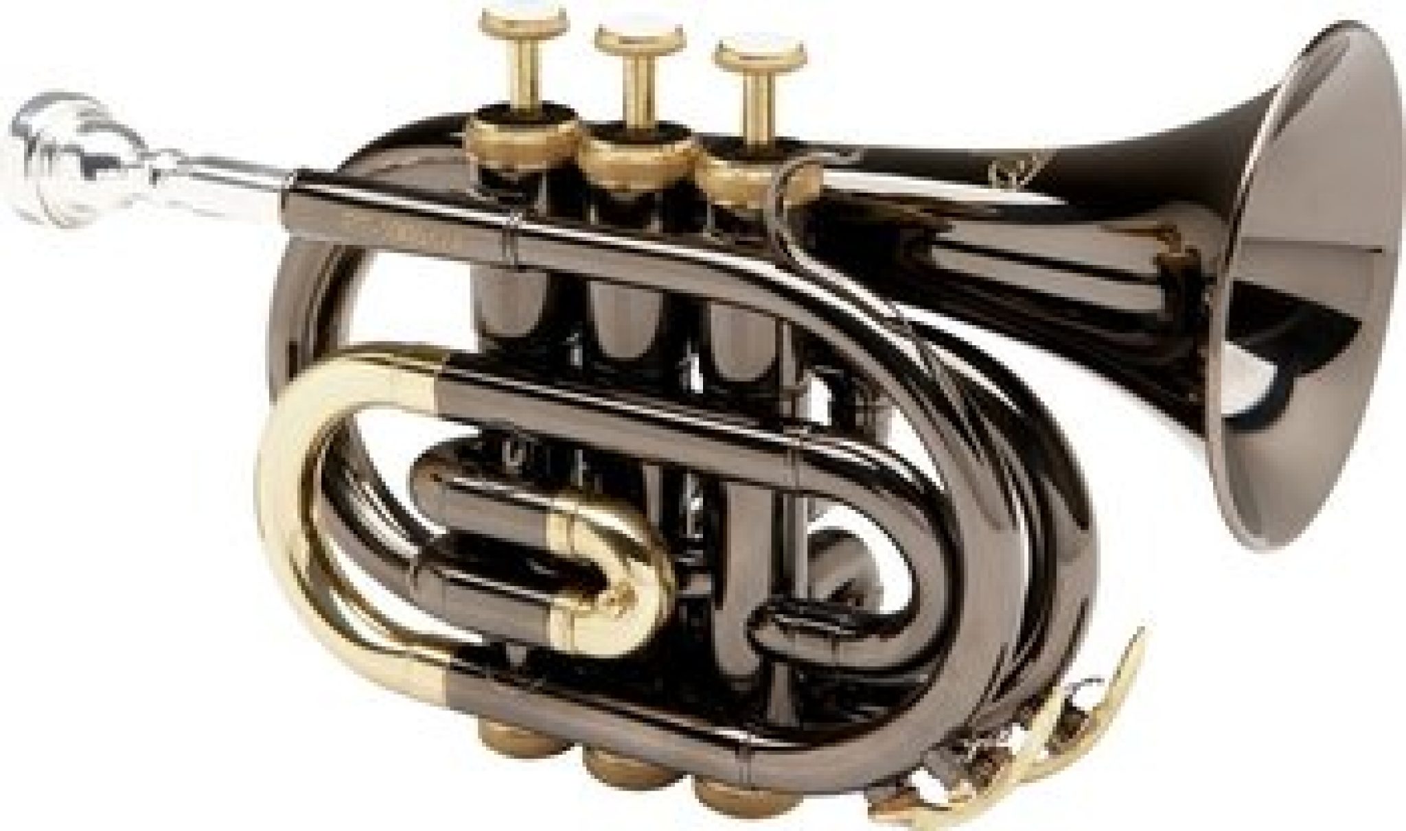 10 Best Student Trumpets Reviewed In Detail [Jul. 2020]