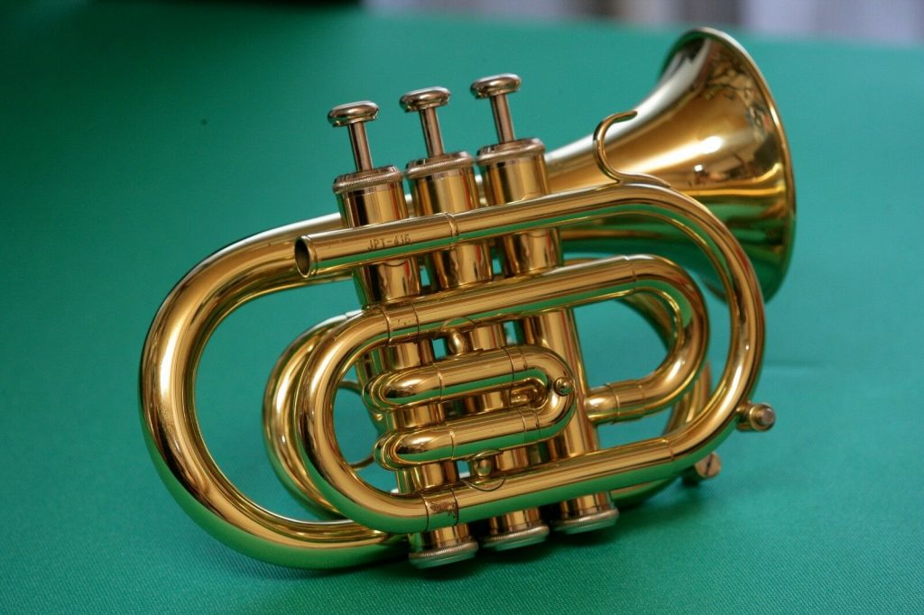 6 Incredible Pocket Trumpets to Change Your Music Style Forever