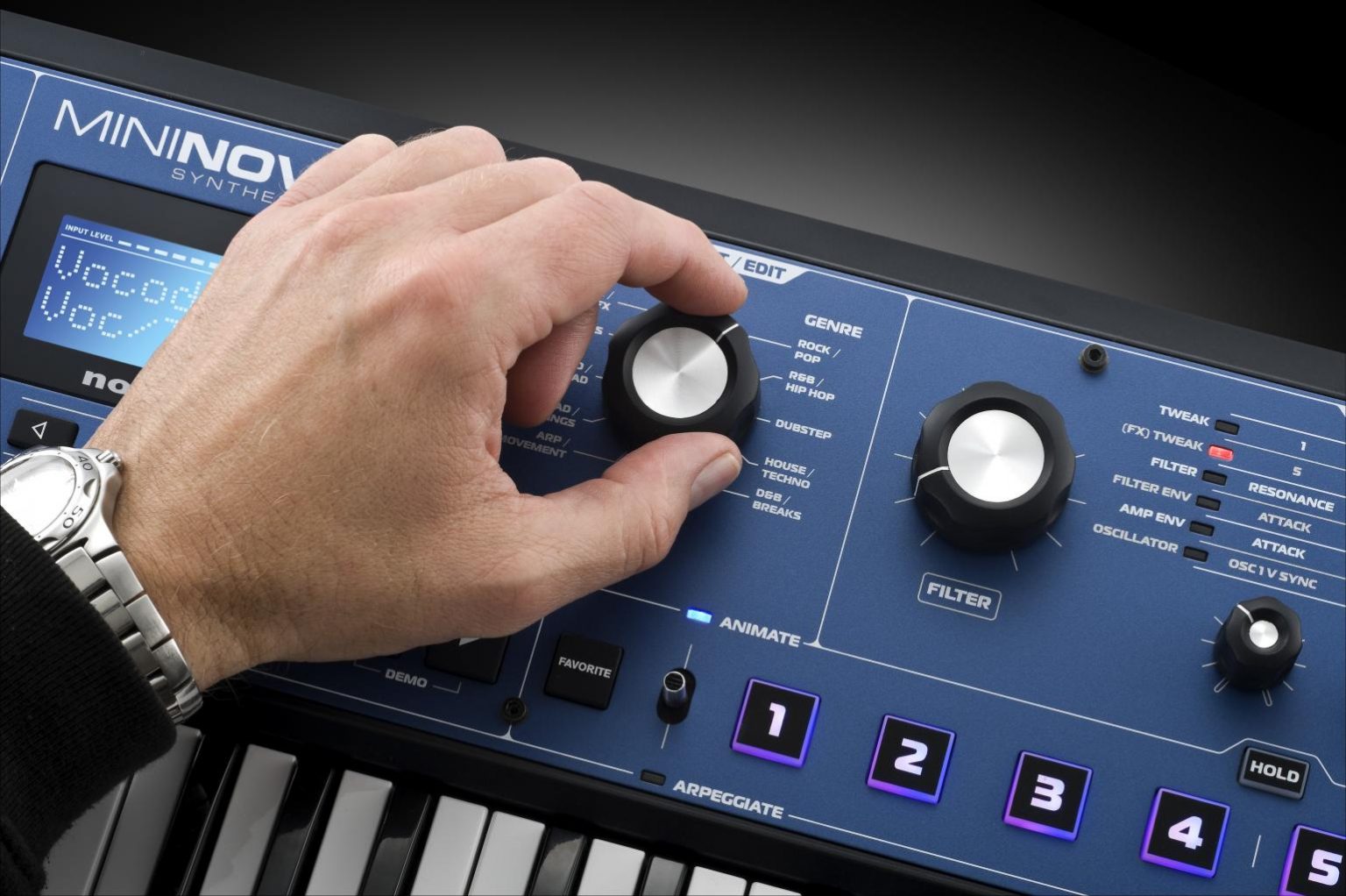 9 Best Analog Synths Reviewed in Detail [Jun. 2020]
