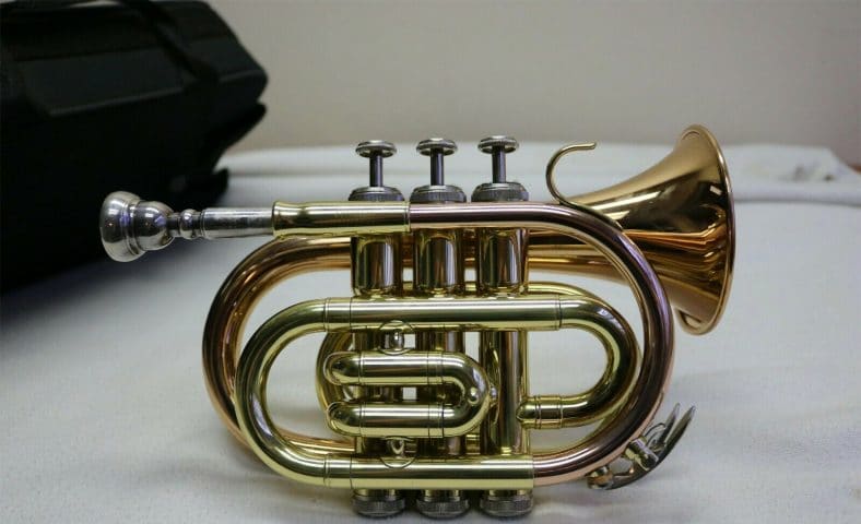 6 Incredible Pocket Trumpets to Change Your Music Style Forever