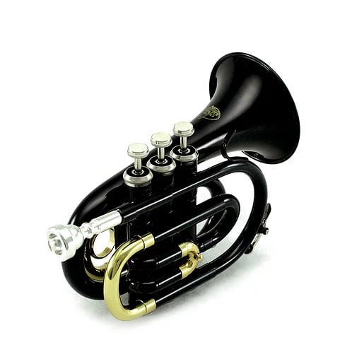 SKYPTR101-S1 SKY Pocket Trumpet 
