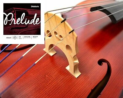D'Addario Prelude Cello String Set 3/4 Scale Medium Tension 
