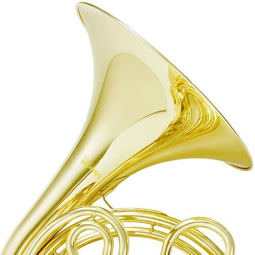 7 Best French Horns Reviewed in Detail [Jul. 2022]