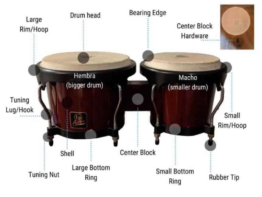 How to Play the Bongo Drums