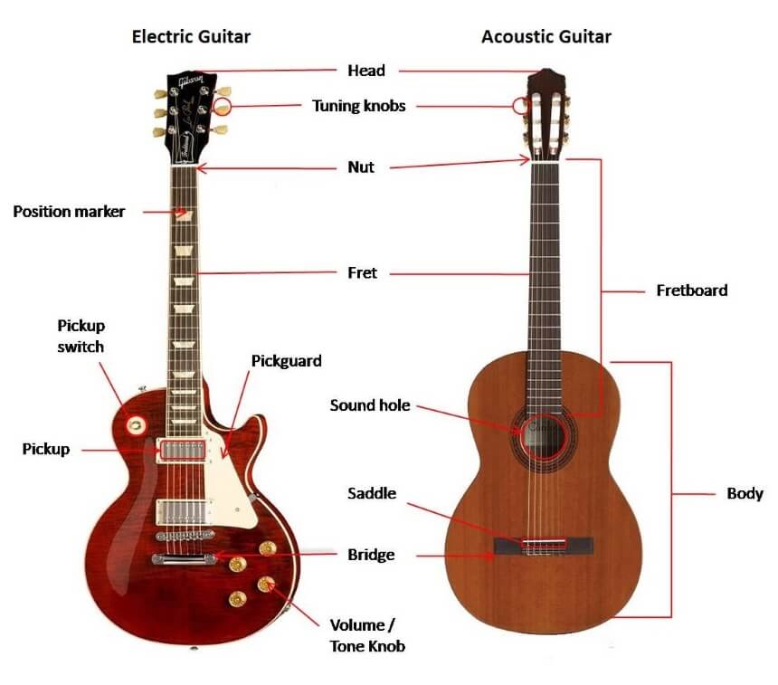 Types of Guitars You Need to Know About