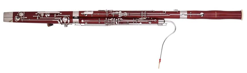 Oboe vs Bassoon: Differences and Similarities