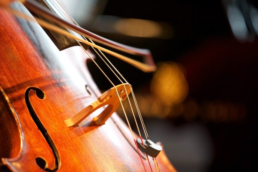 Cello vs Violin: What to Choose?
