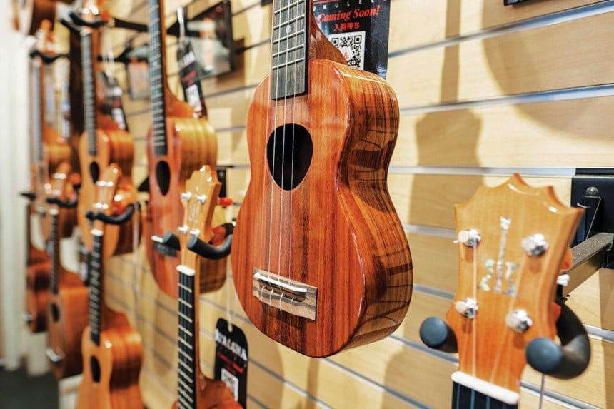 How Much Do Ukuleles Cost?