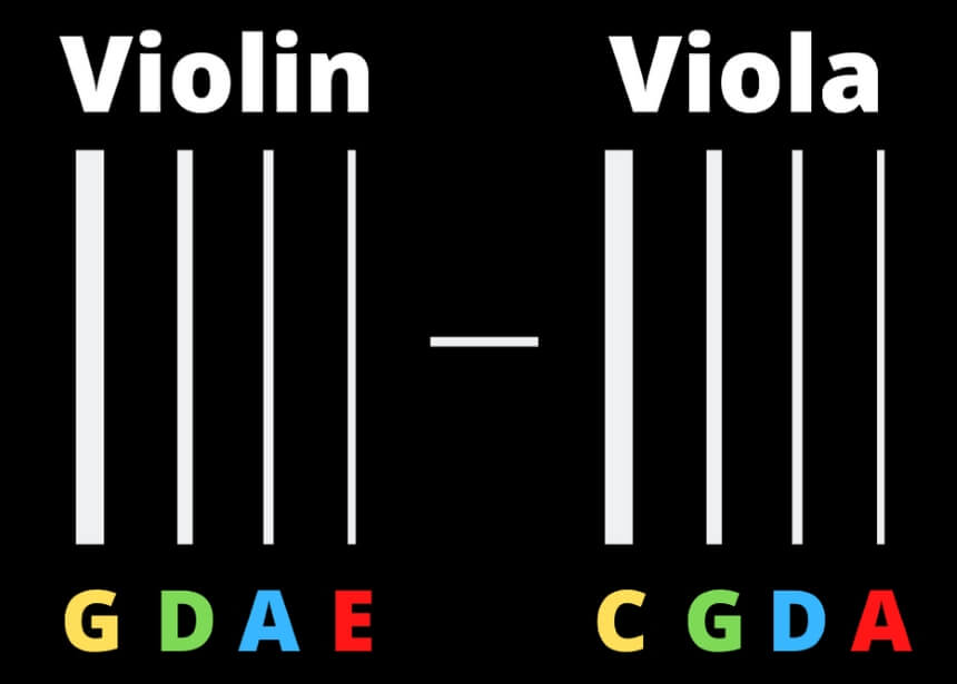 Viola vs Violin: What's Better?