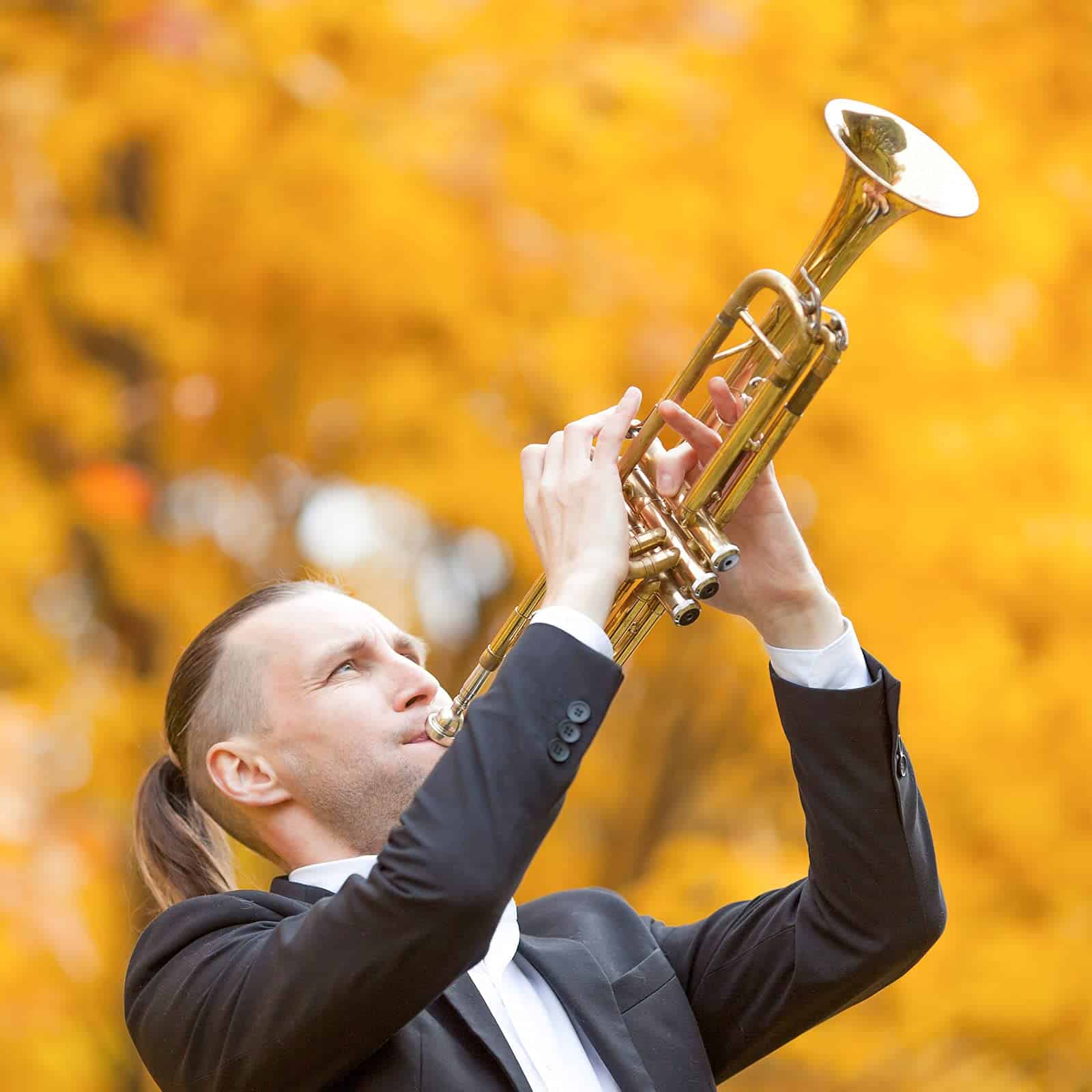 Vangoa Bb Standard Trumpet Review